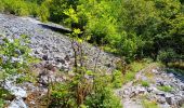 Tour Wandern Villard-Saint-Sauveur - cascade de flumen - saut du chien - retour en partie par la route  - Photo 20