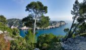 Excursión Senderismo Cassis - Calanques de CASSIS  port miou en vau port pin la cacau - Photo 1