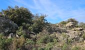 Trail Walking Collobrières - Verne - plateau Lambert - Photo 12