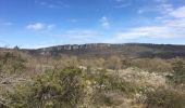 Tocht Stappen Lauroux - Cirque de Labeil - Lauroux-Labeil - Photo 8