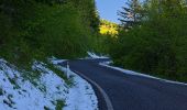 Trail On foot Menconico - Sentiero A1 di Monte Alpe - Photo 2