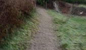 Trail Running Wanze - around my place - Photo 2