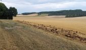 Randonnée Marche Souligny - Souligny 21km le 10/08/2020 - Photo 7