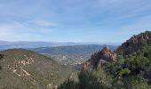 Trail Walking Fréjus - ESTEREL trace Mont Vinaigre - Photo 2