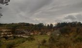 Excursión Senderismo Riemst - jour de ras le bol et de temps de merde  - Photo 6