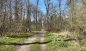 Tocht Stappen Compiègne - en forêt de Compiègne_48_sur les Routes de la Mariolle et du Grand Veneur - Photo 18