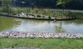 Trail Walking Forges-les-Eaux - Forges les Eaux.Vers la fontaine de la Chevrette  - Photo 1