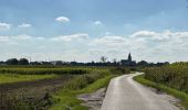 Randonnée Marche Termonde - Dendermonde Kastel 17,8 km - Photo 7