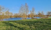 Trail Walking Pont-à-Mousson - Pont A Mousson les étangs depuis le port fluvial - Photo 18