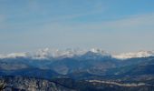 Excursión Senderismo Bézaudun-les-Alpes - Bezaudun L'Estellier - Photo 1