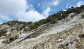 Excursión Senderismo Aillon-le-Jeune - 260523 Boucle Colombier d'Aillon - Photo 2