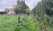 Tour Wandern Tournai - Lamain 15 km - Photo 3