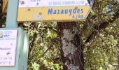 Trail Walking Mazaugues - le Caramy - Photo 16