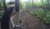 Trail Mountain bike Charleroi - VTT DES 2 ABBAYES - Photo 8