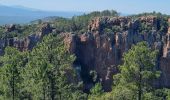 Trail Walking Roquebrune-sur-Argens - blavet - Photo 2