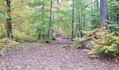 Tocht Mountainbike Saint-Clément - sortie vtt du 01112018 - Photo 2