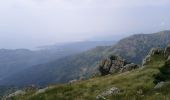 Percorso A piedi Cogoleto - Prato Rotondo - Passo del Faiallo - Photo 1