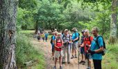 Percorso Camminata nordica Mios - xcf - Photo 2