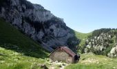 Trail Walking Saint-Pierre-de-Chartreuse - Peitt-Som-2022-06-19 - Photo 5