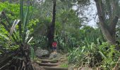 Tour Wandern Cilaos - Bras rouge - Photo 2