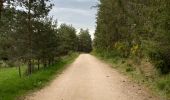 Tocht Stappen Peyre en Aubrac - Étape 1 Saint Gilhem - Photo 7