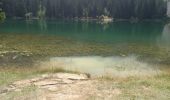 Tocht Stappen Mont-Saxonnex - lac benit  - Photo 9