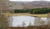 Excursión A pie Unknown - Creag Bheag Trail - Photo 4