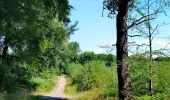 Trail Walking Seraing - Bois de la Vecquée   - Photo 5