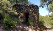 Excursión Senderismo Sorède - Argeles - Puig de Sant Miquel et Château de l'Utrera - San Ferriol de la Pava - Photo 10