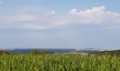 Tocht Wegfiets Saint-Clément - sortie route 26072019 Baccarat Domptail  - Photo 1