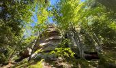 Trail Walking Saulcy-sur-Meurthe - Les roches du Kemberg - Photo 5