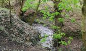 Randonnée Marche Morlanwelz - promenade bois et parc de mariemont - Photo 19