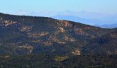 Trail Walking Le Plan-de-la-Tour - Autour du rocher de San Peyre - Photo 11
