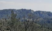 Trail Walking Tarascon - CR_Domitia_BA_23_Tarascon_St-Remy-Provence_20220404 - Photo 4