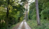 Trail Walking Saint-Mihiel - St Mihiel - forêt domaniale de Gaumont - Photo 1