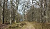 Trail Walking Chimay - Fagnes de Chimay 2024-03-23 - Photo 2