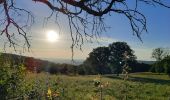 Trail Walking Barizey - Bourgogne à pied - Photo 5