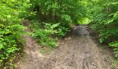 Trail Walking Gedinne - Vencimont 050624 - Photo 2