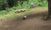 Trail Walking Saint-Martin-d'Arrossa - Le Larla en boucle depuis  Saint Martin d' Arrossa - Photo 2