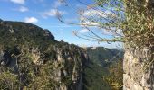 Excursión Senderismo Veyreau - Corniche du Causse noir (Le point sublime)  - Photo 14