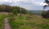 Tocht Stappen Chaudfontaine - autour du bois les dames  - Photo 9