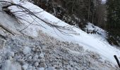 Randonnée Marche Jarsy - Bauges 2021 : Jarzy - Vallée du Chérant (glacée) - Replat d'en Haut vers le mont Pécloz (-12-21).ori - Photo 3
