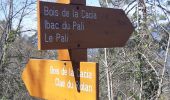 Randonnée Marche Sigale - trace cime de la cacia 30mars23 - Photo 8