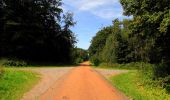 Percorso Marcia Haramont - en forêt de Retz_79_08_2019_vers Taillefontaine et Retheuil par les lisières - Photo 12