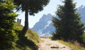 Tour Wandern Les Houches - Trajet Aiguillette des Houches - Photo 19