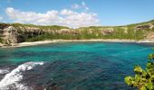 Tocht Stappen Le Moule - Porte d'Enfer - Anse Gros Morne - Photo 14