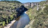 Randonnée Marche Berrias-et-Casteljau - Gorges du Chassezac - Photo 18