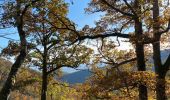 Excursión Bici de montaña Steinbach - Terrasse de Steinbach  - Photo 1