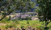 Trail Walking Laveissière - Cantal - Cheyrouze (Laveissière) - Puy de Seycheuse - 14.8km 600m 5h35 - 2019 06 30 - Photo 7