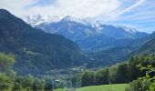 Tocht Stappen Les Houches - J6 - Servoz - La Cote - La Gouille du Bë - Photo 11